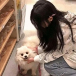 博盈娱乐手机app下载